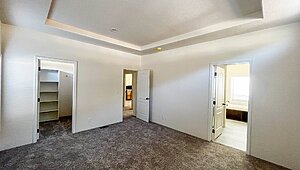 Inspiration Gold Series / Spruce ING 561F Interior 118905