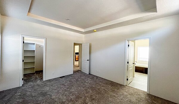 Inspiration Gold Series / Spruce ING 561F Interior 118905