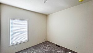 Inspiration Gold Series / Spruce ING 561F Interior 118907