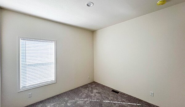 Inspiration Gold Series / Spruce ING 561F Interior 118907