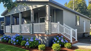 Inspiration Gold Series / Spruce ING 561F Exterior 118914