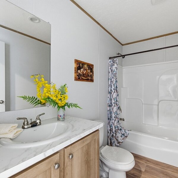 Phoenix / 32764A Interior 120113