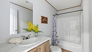 Phoenix / 32764A Interior 120113