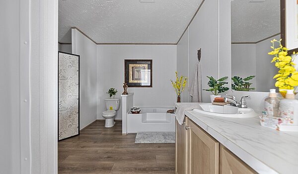 Phoenix / Phoenix 170PX32483A Interior 113740