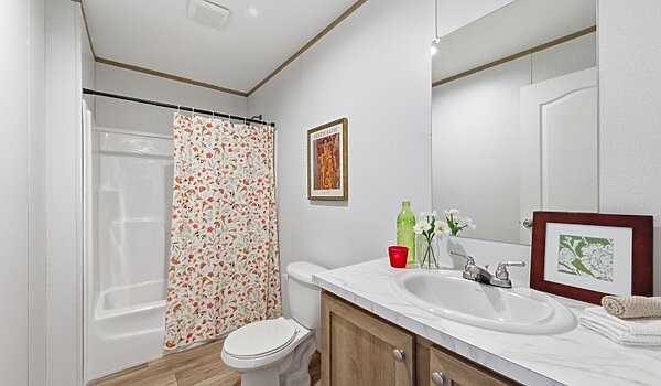 Phoenix / Phoenix 170PX32764A Interior 126211