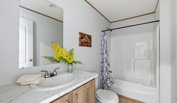 Phoenix / Phoenix 170PX32764A Interior 126212