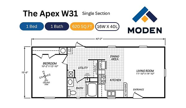 Apex / W31 Layout 113009
