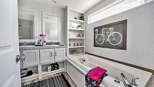 Apex / W51 Interior 113773