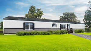 Apex / W51 Exterior 113775