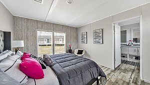 Apex / W51 Interior 113770