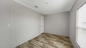 Apex / W51 Interior 113771