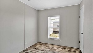Apex / W51 Interior 113772