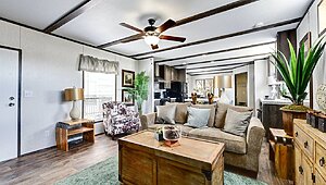 Apex / W53 Interior 113828
