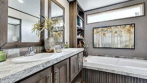 Apex / W53 Interior 113834