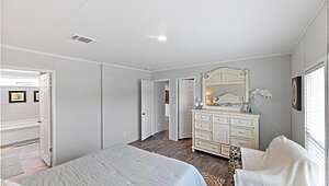Apex / W81 Interior 113754