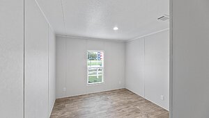 Apex / W81 Interior 113755