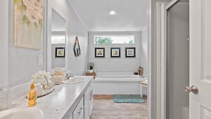 Apex / W81 Interior 113756