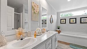Apex / W81 Interior 113757