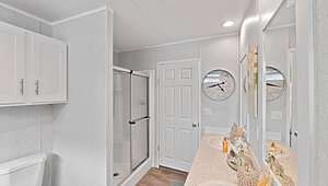 Apex / W81 Interior 113758