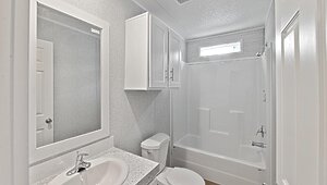 Apex / W81 Interior 113759