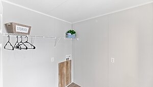 Apex / W81 Interior 113760