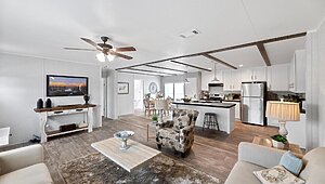 Apex / W81 Interior 113745