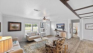 Apex / W81 Interior 113746