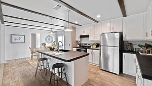 Apex / W81 Interior 113749