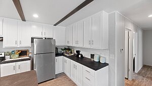 Apex / W81 Interior 113752