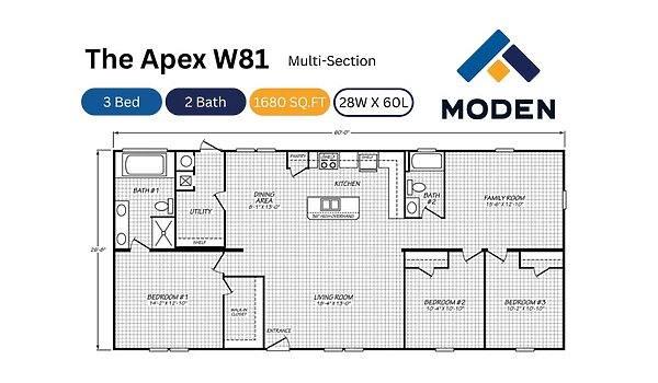 Apex / W81 Layout 113002