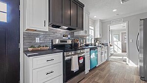 Beacon Series / D11 Kitchen 115287