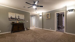 Peak Series / F31 Interior 115408