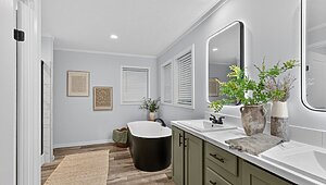 Alpha / Axis 32563N Interior 122974