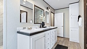 The Titanium Double / The Daly TTM32563A Interior 132674