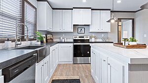 The Titanium Double / The Daly TTM32563A Interior 132666