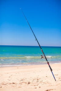A fishing pole sticking out of the sand on a beach